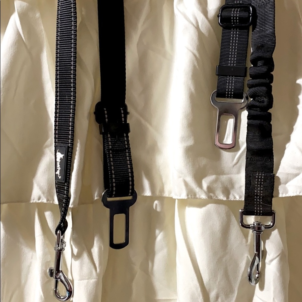 Dog car buckle leashes